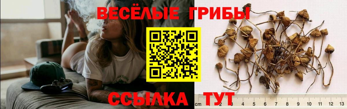 Лсд 25 Сибай